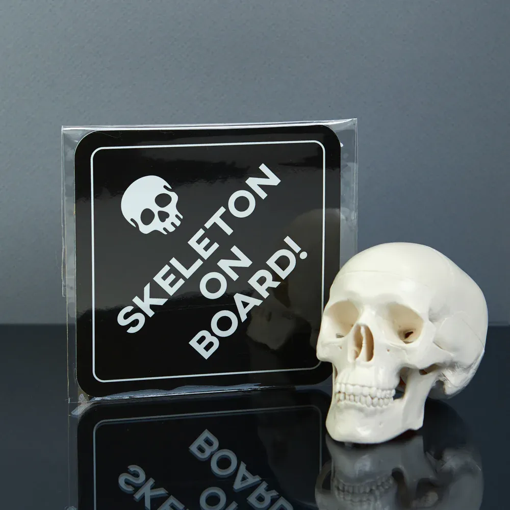ASHLEY HAY DESIGN SKELETON ON BOARD CAR MAGNET