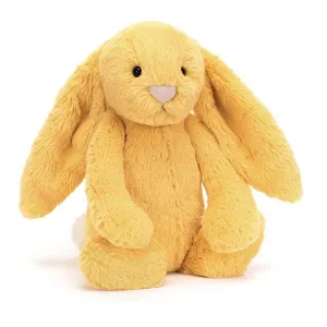 Bashful sunshine bunny